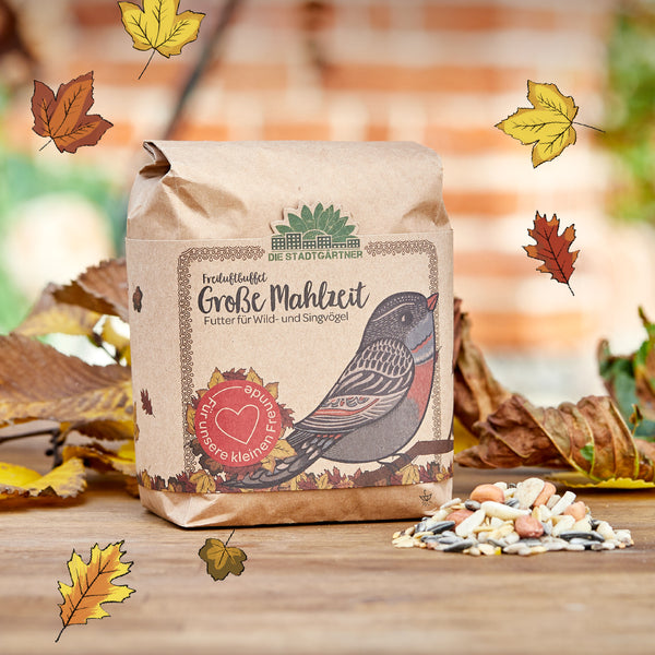 Sac en papier avec de la nourriture pour oiseaux sauvages et chanteurs, décoré d'une illustration d'un oiseau et de feuilles d'automne colorées, avec une nature floue et un mur de briques en arrière-plan.