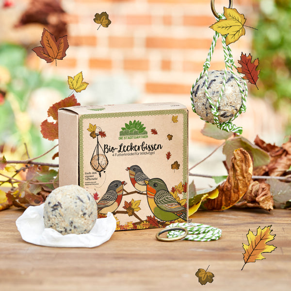 Emballage en carton avec l'inscription « Organic Treats – 4 Feeding Balls for Wild Birds » de Die Stadtgärtner, entouré de feuilles d'automne, d'une boule d'alimentation et d'un ruban vert et blanc.