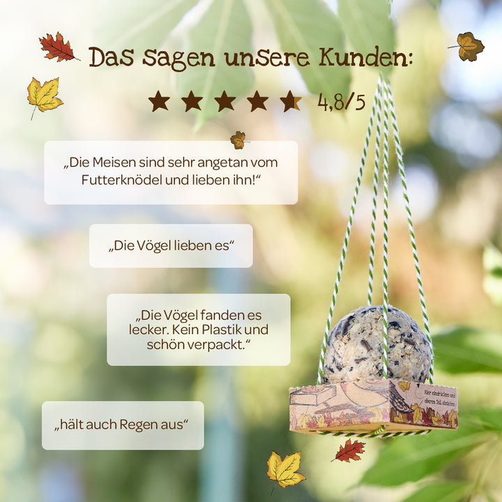 Une mangeoire à oiseaux suspendue avec des avis clients en allemand et une note de 4,8 sur 5, entourée de feuilles d'automne.