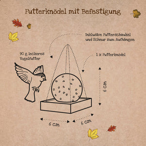 Illustration d'une boulette alimentaire avec accessoire, dimensions 6x6x6 cm, comprenant oiseau, balançoire alimentaire et cordon de suspension, feuilles d'automne en arrière-plan.