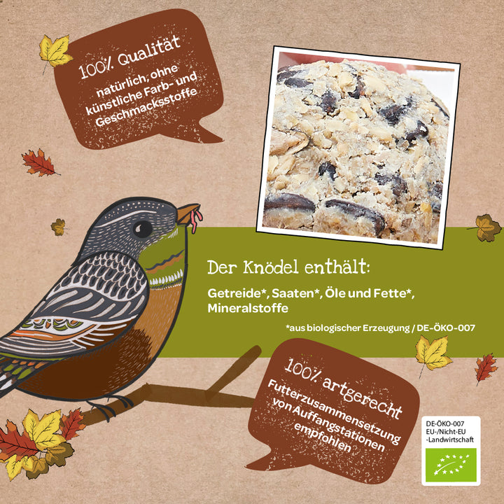 Illustration d'un oiseau sur une branche avec une boulette de graines pour oiseaux biologiques, entourée de feuilles d'automne et de zones de texte contenant des informations sur les ingrédients et la qualité de la boulette.