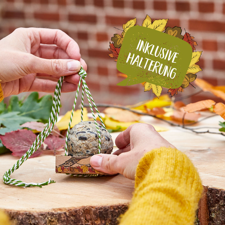 Deux mains tiennent un support de boule de suif avec un cordon vert et blanc, avec des feuilles d'automne et un panneau indiquant « Support inclus » en arrière-plan.