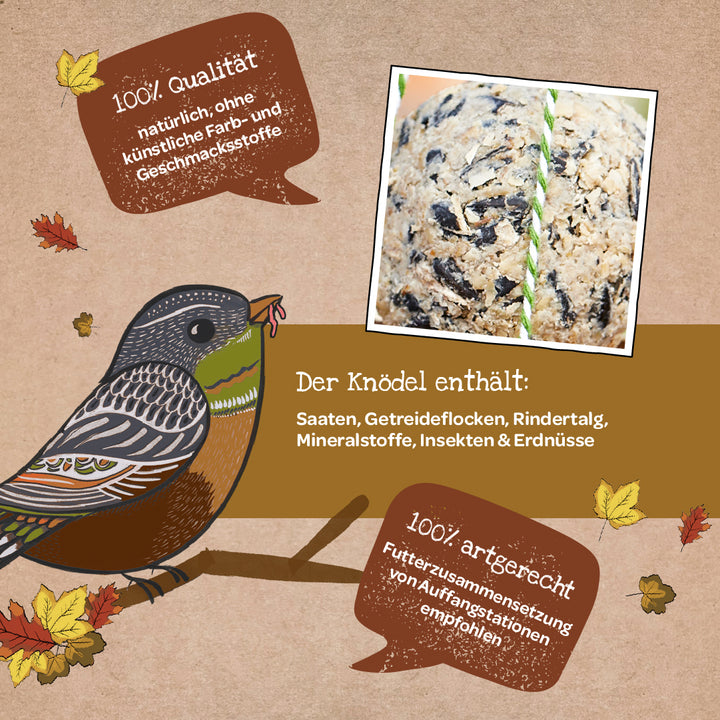 Illustration d'un oiseau sur une branche avec texte sur la qualité et la composition d'une boule de suif, ainsi qu'un gros plan de la boule ; feuilles d'automne en guise de décoration.
