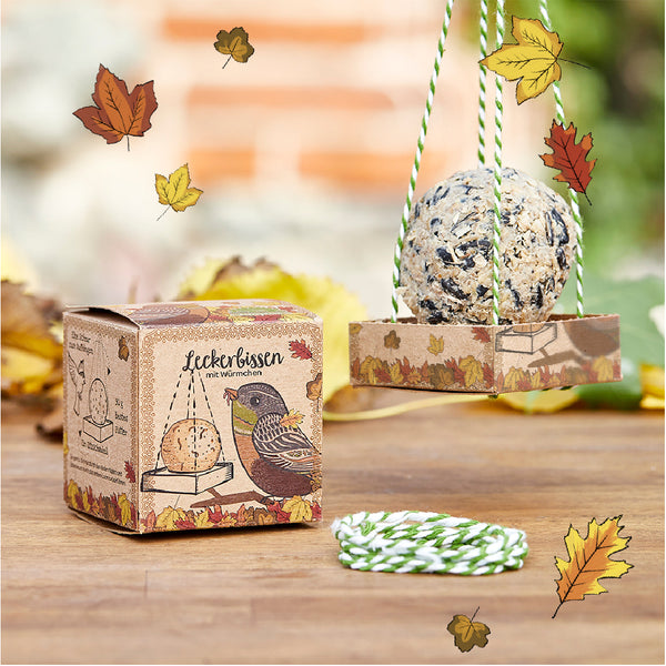 Mangeoire à oiseaux dans un emballage décoratif avec des feuilles d'automne, à côté d'un cordon, photographiée sur une table en bois à l'extérieur.