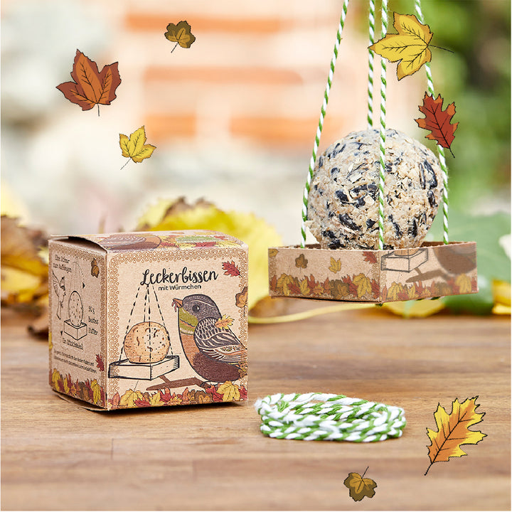 Mangeoire à oiseaux dans un emballage décoratif avec des feuilles d'automne, à côté d'un cordon, photographiée sur une table en bois à l'extérieur.