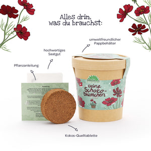 L'ensemble comprend un contenant en carton respectueux de l'environnement, une tablette d'expansion en noix de coco, des graines de haute qualité et des instructions de plantation pour des fleurs en chocolat, décorées de motifs floraux.