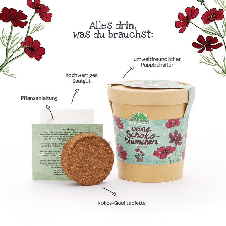 L'ensemble comprend un contenant en carton respectueux de l'environnement, une tablette d'expansion en noix de coco, des graines de haute qualité et des instructions de plantation pour des fleurs en chocolat, décorées de motifs floraux.