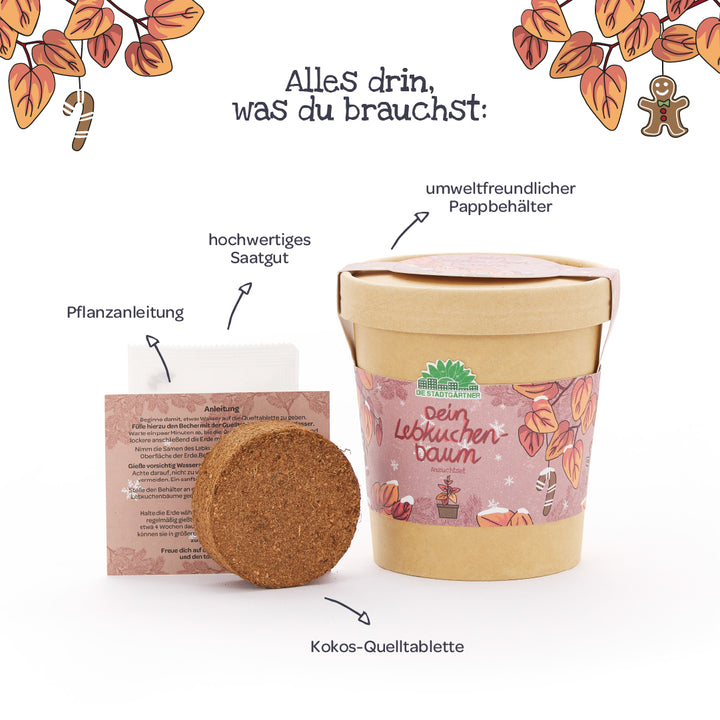 Le kit de culture « Votre arbre en pain d'épices » se compose d'un contenant en carton respectueux de l'environnement, de granulés de noix de coco, de graines de haute qualité et d'instructions de plantation, illustrées et étiquetées en allemand.