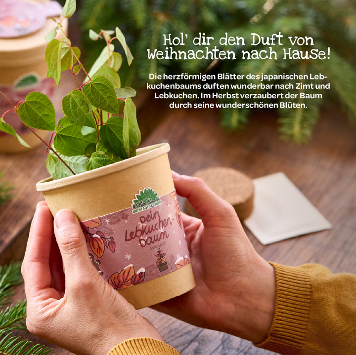 Mains tenant un petit pot de fleurs avec un jeune arbre à pain d'épices, entouré de branches de sapin, avec les mots « Votre arbre à pain d'épices » écrits sur le pot.