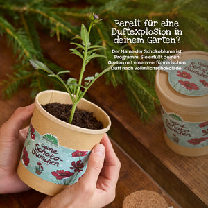 Une personne tient un pot contenant une jeune fleur de chocolat. À côté, un autre pot portant l'inscription « Vos fleurs de chocolat » est posé sur une table en bois. Des branches de sapin vertes apparaissent en arrière-plan, et l'image est accompagnée d'une légende décrivant l'explosion de parfums qui règne dans le jardin.