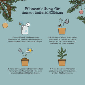 Illustration avec des instructions pour faire pousser un arbre de Noël, y compris des pots dessinés, des graines, de la terre, un arrosoir et des branches de sapin, ainsi que des étapes textuelles pour le semis, l'arrosage, la germination et le rempotage.
