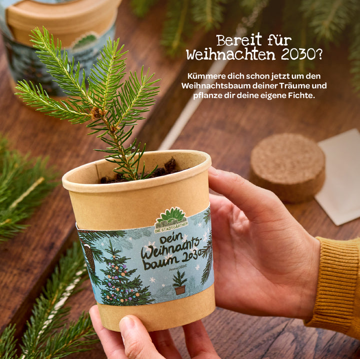 Une personne tient un petit pot avec un jeune épicéa et une étiquette « votre sapin de Noël 2030 ».
