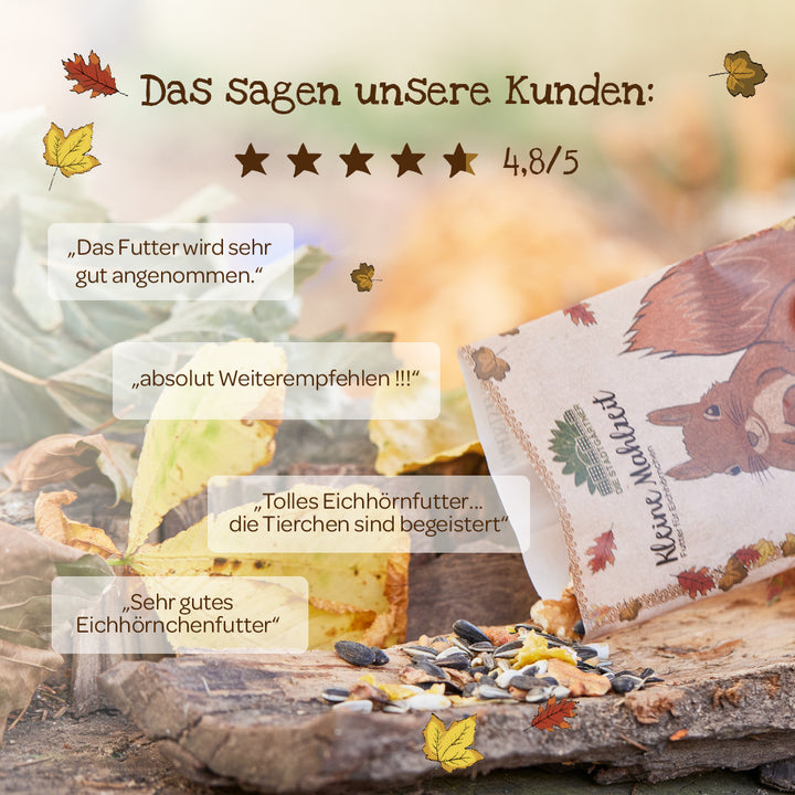 Avis clients sur nourriture pour écureuil avec 4,8 étoiles sur 5, emballage avec illustration d'écureuil, nourriture à base de graines de tournesol et de feuilles sur un tronc d'arbre.