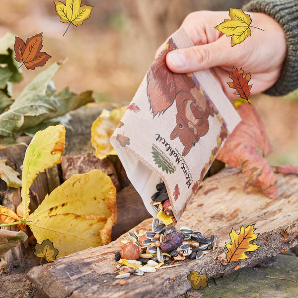 Une main verse un sac de noix et de graines sur un tronc d'arbre dans la forêt d'automne, entouré de feuilles colorées.