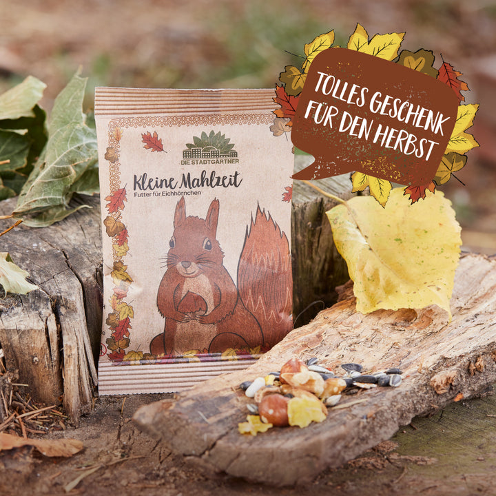Paquet de nourriture pour écureuils sur un tronc d'arbre entouré de feuilles d'automne avec le texte « Excellent cadeau pour l'automne ».