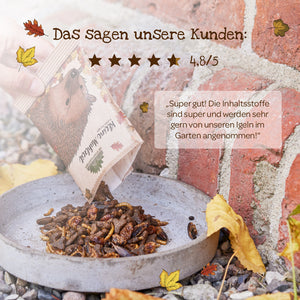 Une main verse un sachet de nourriture pour insectes séchés dans un bol posé au sol, près d'un mur de briques ; l'emballage présente un dessin de hérisson. L'image inclut un avis client et des feuilles d'automne.