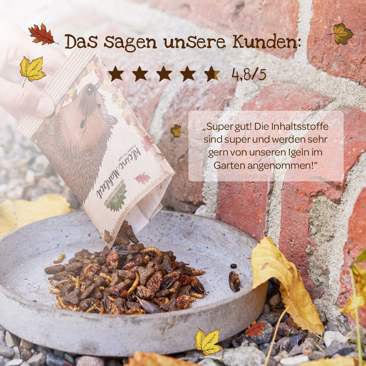 Une main verse un sachet de nourriture pour insectes séchés dans un bol posé au sol, près d'un mur de briques ; l'emballage présente un dessin de hérisson. L'image inclut un avis client et des feuilles d'automne.