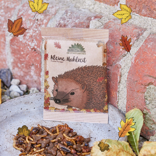 Un paquet de nourriture pour hérisson de la marque « Die Stadtgärtner » se trouve à côté d'un bol d'alimentation sur un fond de pierre, entouré de feuilles d'automne.