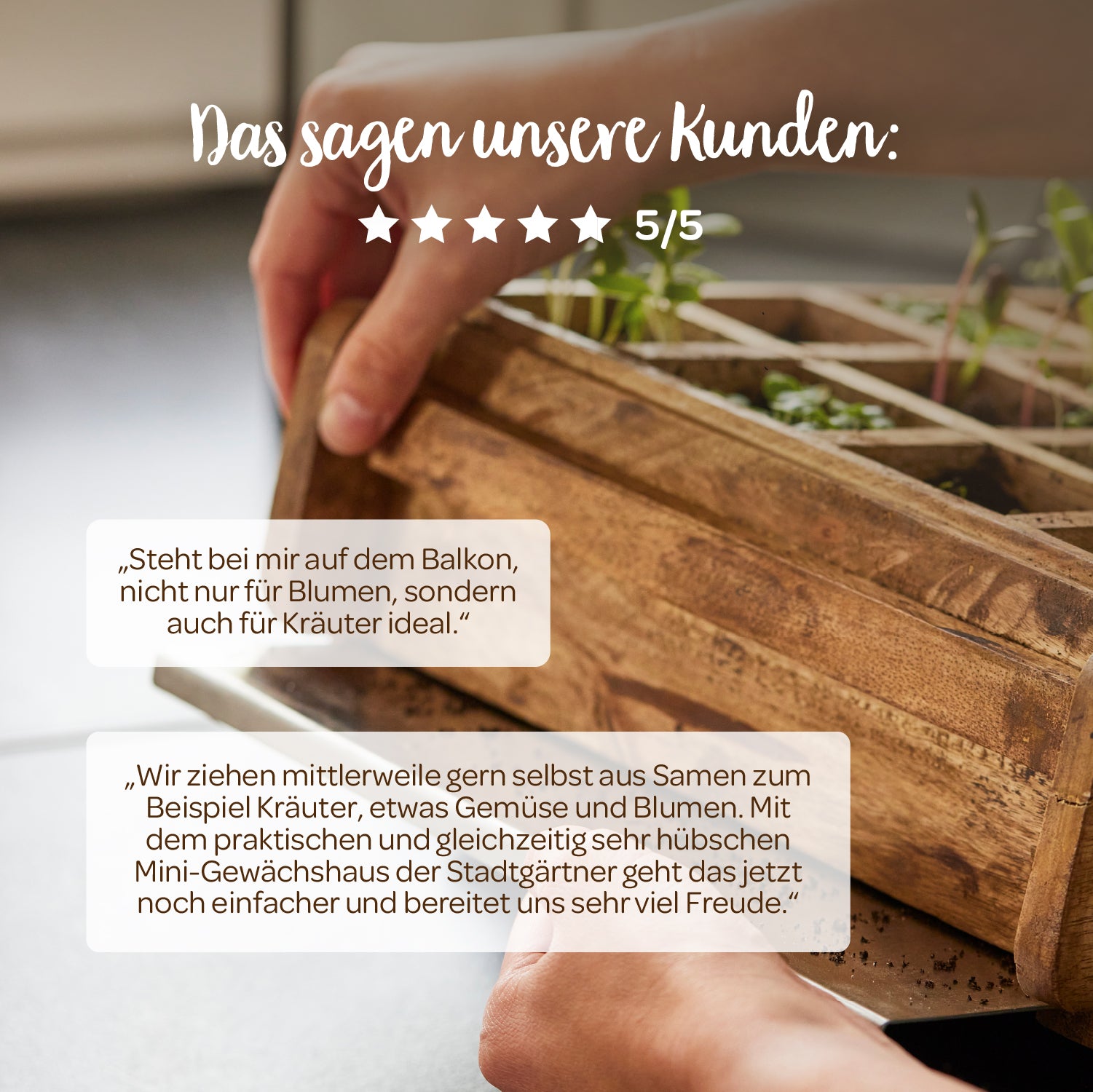Gros plan de mains tenant une serre miniature en bois avec de jeunes plantes sur une table ; les avis des clients et une note de 5 étoiles en allemand sont affichés ci-dessus.