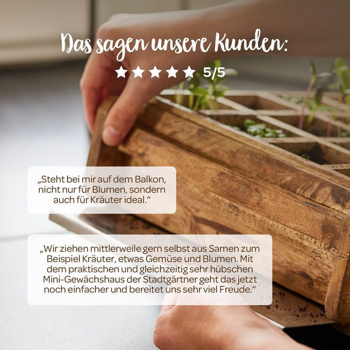 Gros plan de mains tenant une serre miniature en bois avec de jeunes plantes sur une table ; les avis des clients et une note de 5 étoiles en allemand sont affichés ci-dessus.
