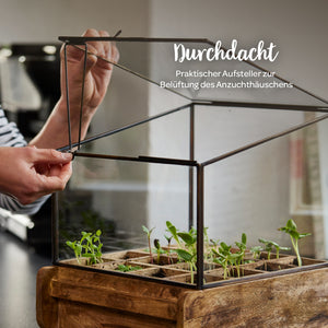 Une personne ouvre le toit en verre d'une petite serre en métal et en bois avec de jeunes plantes à l'intérieur.
