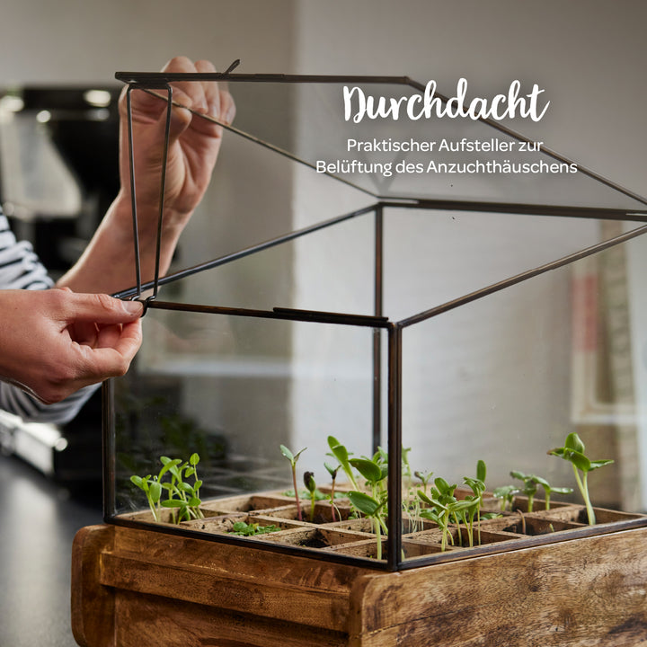 Une personne ouvre le toit en verre d'une petite serre en métal et en bois avec de jeunes plantes à l'intérieur.
