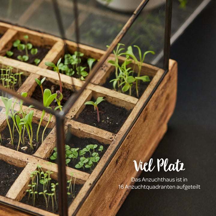 Pépinière en bois avec 16 compartiments carrés dans lesquels poussent diverses plantes.