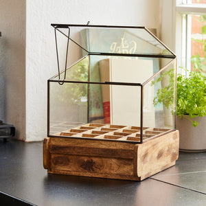 Petite serre en verre et en bois sur un comptoir de cuisine, avec un pot d'herbes fraîches en arrière-plan.