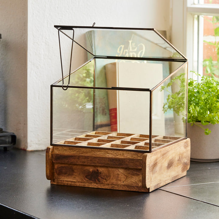 Petite serre en verre et en bois sur un comptoir de cuisine, avec un pot d'herbes fraîches en arrière-plan.