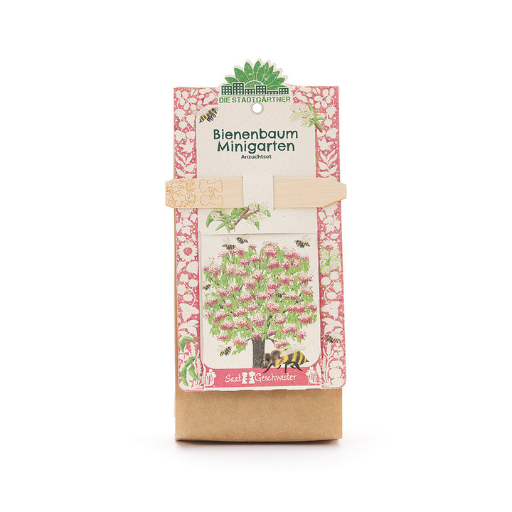 Graines d'arbustes à mille fleurs avec terreau