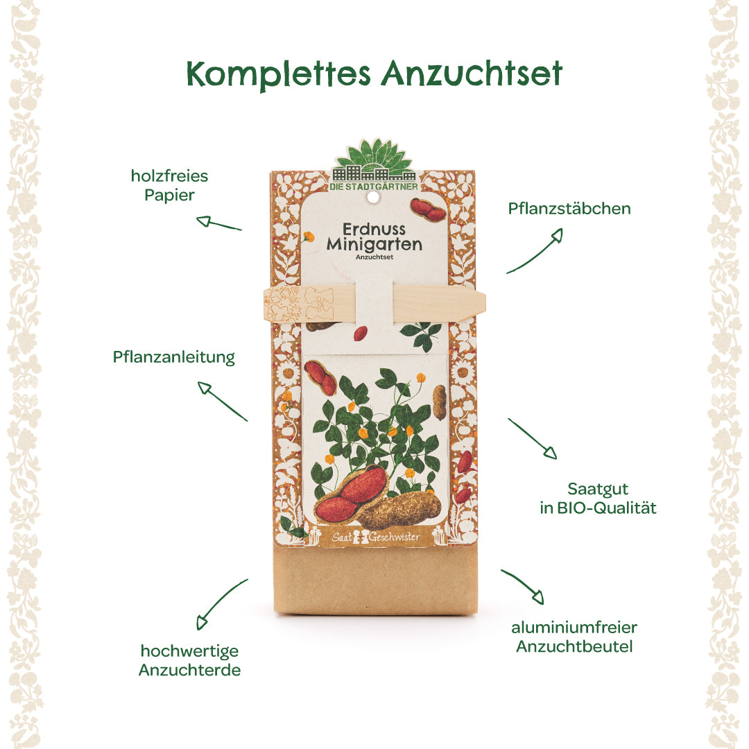 Kit complet de culture d'arachides avec instructions de plantation, bâtons de plantation, graines biologiques, terreau de haute qualité, papier sans bois et sac de culture sans aluminium.