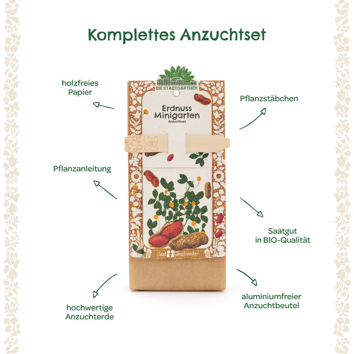 Kit complet de culture d'arachides avec instructions de plantation, bâtons de plantation, graines biologiques, terreau de haute qualité, papier sans bois et sac de culture sans aluminium.