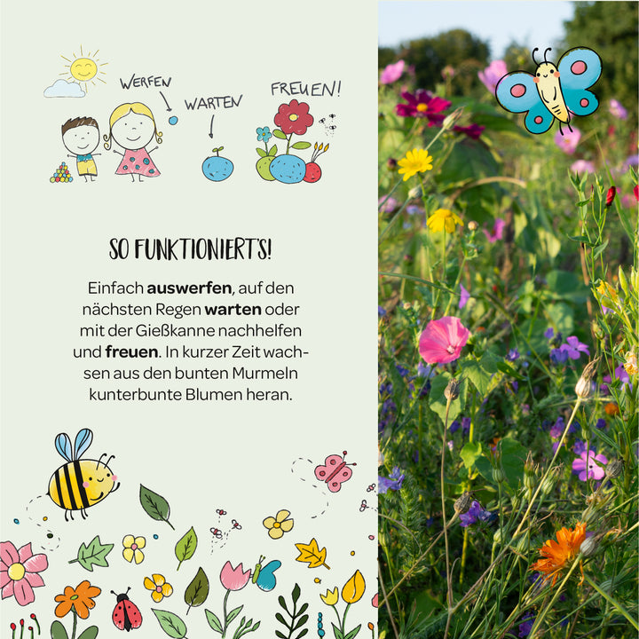 Illustration avec des instructions pour semer des fleurs, à côté un parterre de fleurs fleuries avec des fleurs sauvages colorées, une abeille et un papillon.