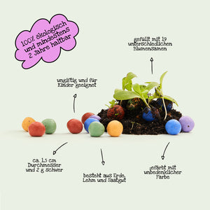 Des bombes à graines colorées et une plante en germination avec des notes informatives en allemand sur la durabilité écologique et les composants du contenu.
