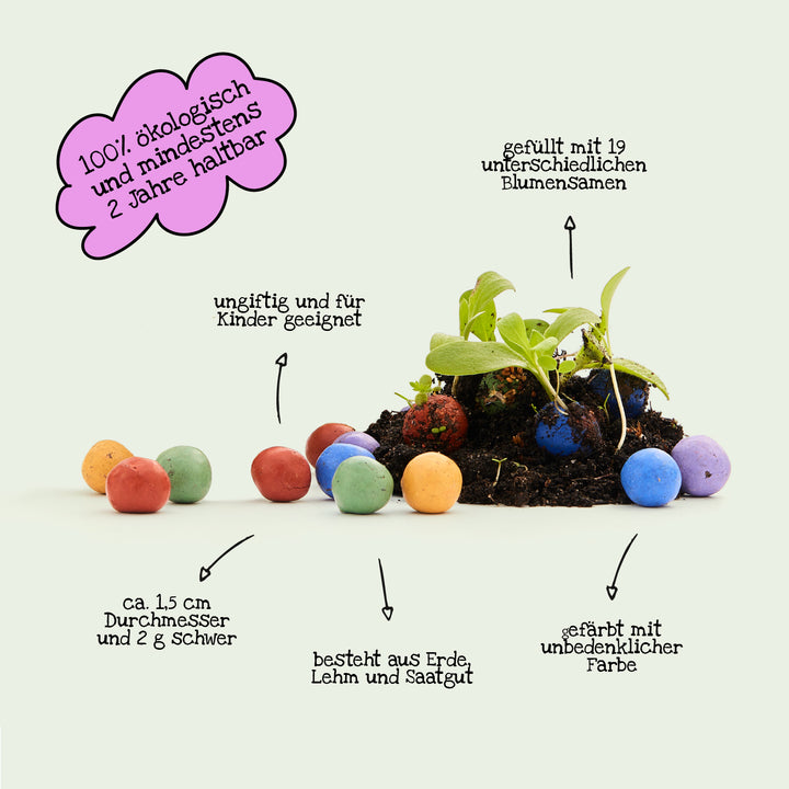 Des bombes à graines colorées et une plante en germination avec des notes informatives en allemand sur la durabilité écologique et les composants du contenu.