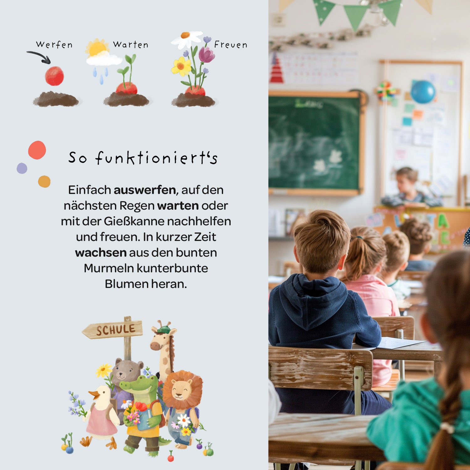 5 billes de fleurs dans un sachet pour la rentrée "Tableau"