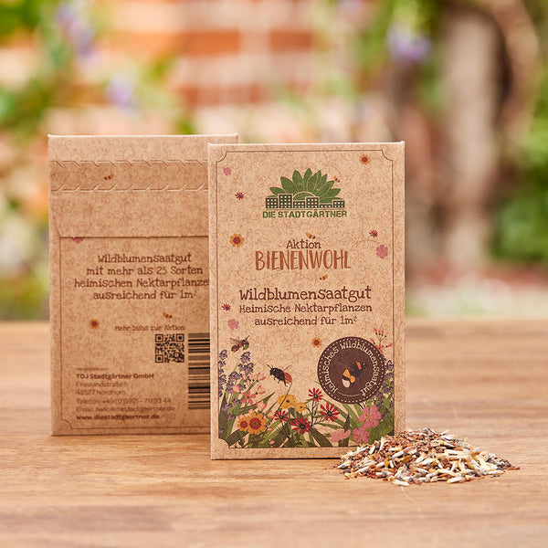 Sachets de graines de fleurs sauvages sur une surface en bois avec des graines dispersées au premier plan.