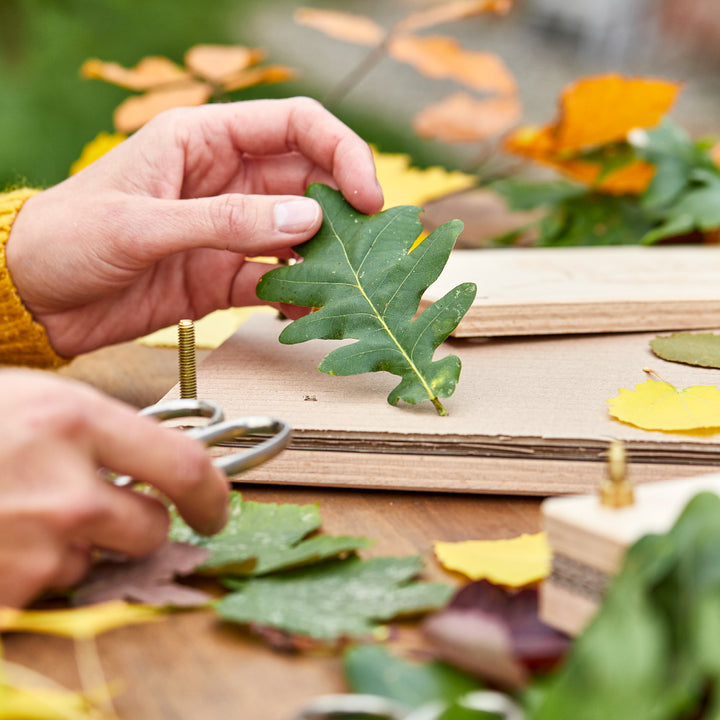 Des mains placent une feuille verte sur une presse en bois, entourée de feuilles d'automne colorées.