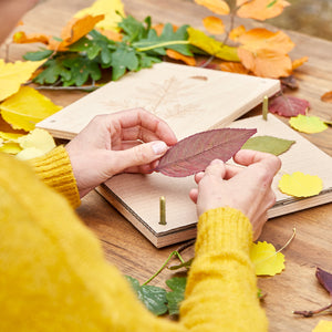 Une personne en pull jaune place des feuilles d'automne colorées dans une presse à plantes sur une table en bois.