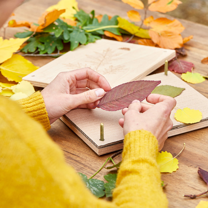 Une personne en pull jaune place des feuilles d'automne colorées dans une presse à plantes sur une table en bois.