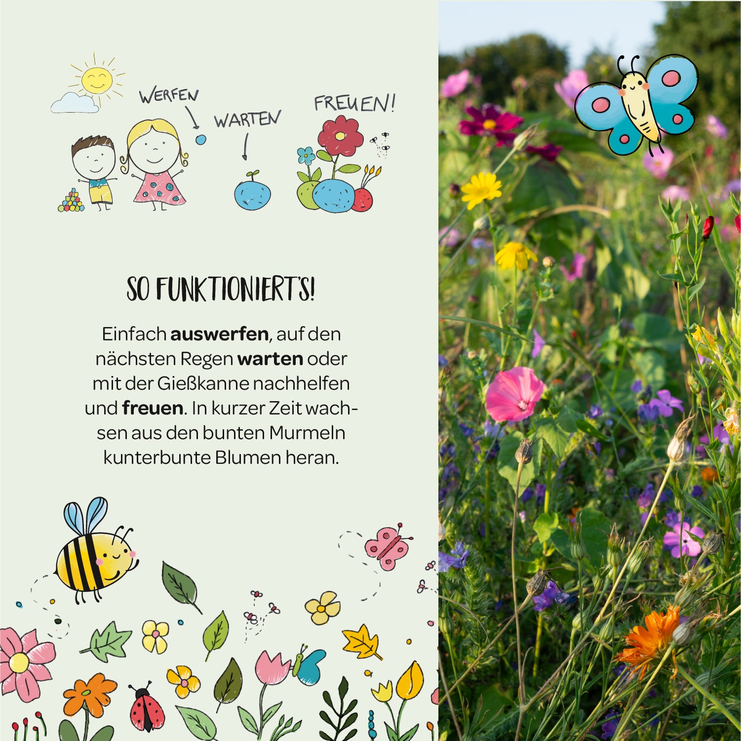 Illustration d'enfants semant des graines, attendant et profitant des fleurs ; à côté, une prairie fleurie avec un papillon et des insectes dessinés.