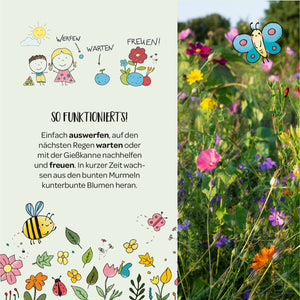 Illustration d'enfants semant des graines, attendant et profitant des fleurs ; à côté, une prairie fleurie avec un papillon et des insectes dessinés.