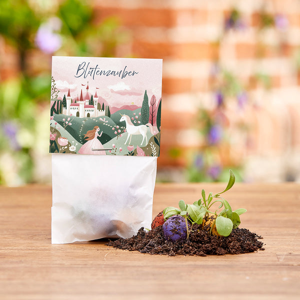 Un sac en papier avec une illustration de conte de fées et les mots « Blütenzauber » (Magie des fleurs) ; à côté, des bombes à graines colorées et de jeunes plantes sur le sol.