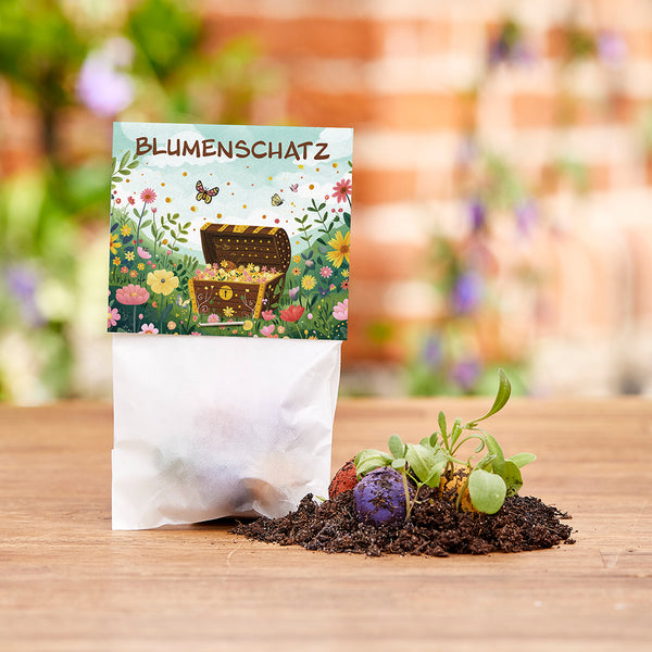 Un sac étiqueté « Trésor de fleurs » et des bombes de graines colorées, avec de jeunes pousses de plantes sur la terre à côté d’elles.