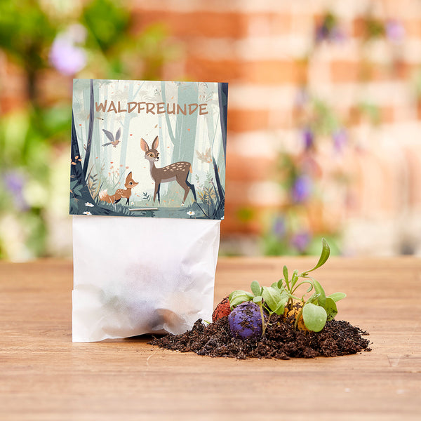 Un sac en papier avec l'inscription « Forest Friends » et une illustration d'animaux de la forêt ; à côté, des bombes à graines colorées et des jeunes plantes dans le sol.