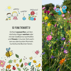 Page de gauche : Instructions avec des personnages, des fleurs et des animaux dessinés expliquant comment semer des graines de fleurs, les attendre et profiter des couleurs vives de la floraison. Page de droite : Prairie fleurie colorée avec illustration de papillons.