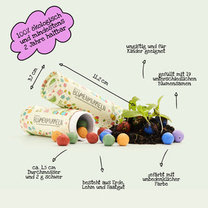 Données sur les Kinder Seedbombs