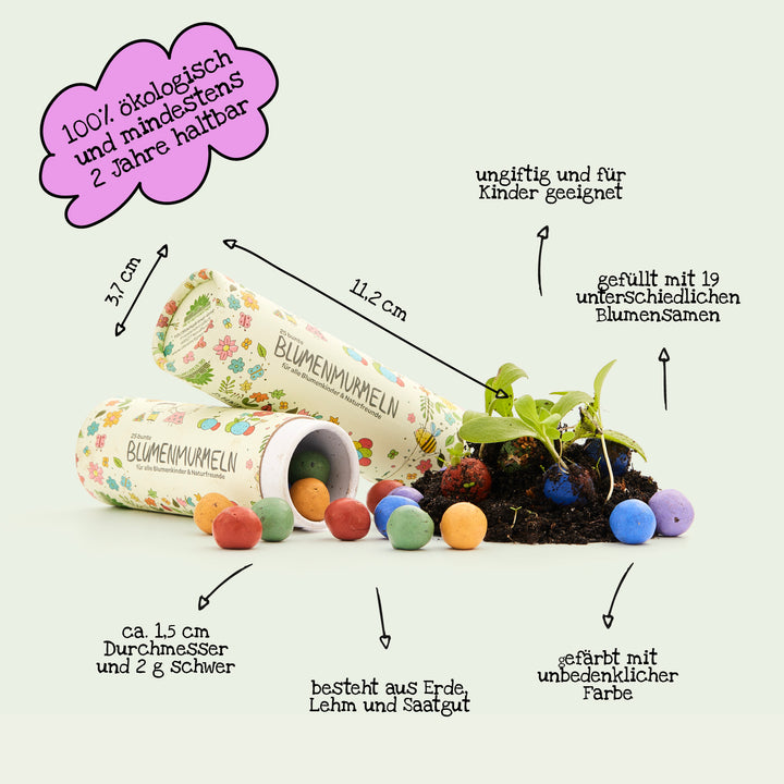 Données sur les Kinder Seedbombs