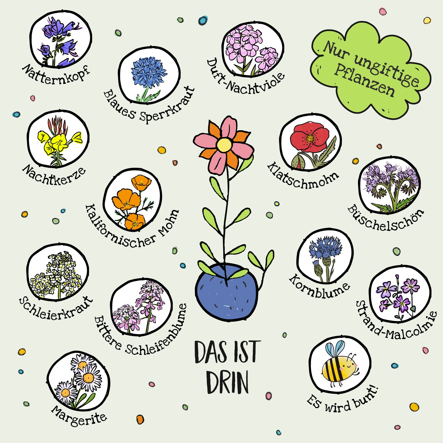 Illustration avec diverses plantes à fleurs non toxiques, leurs noms tels que la vipérine commune, le bleuet et le pavot de Californie à côté d'elles, au milieu une fleur colorée dans un pot de fleurs et le texte « Uniquement des plantes non toxiques » et « Voici ce qu'il y a à l'intérieur ».