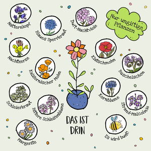 Illustration avec diverses plantes à fleurs non toxiques, leurs noms tels que la vipérine commune, le bleuet et le pavot de Californie à côté d'elles, au milieu une fleur colorée dans un pot de fleurs et le texte « Uniquement des plantes non toxiques » et « Voici ce qu'il y a à l'intérieur ».